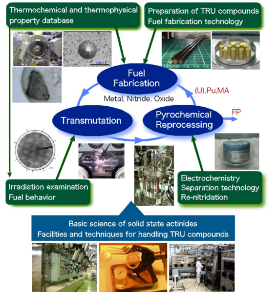Research activities related to MA-recycling