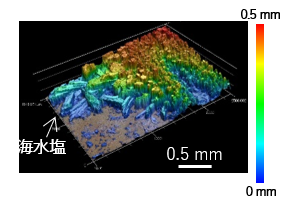 伝熱面に析出した海水塩析出物の３次元計測の一例